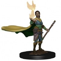 D&D Icons of the Realms Premium Female Elf Druid