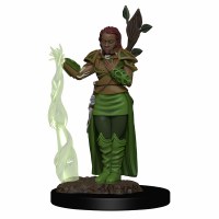 D&D Icons of the Realms Premium Female Human Druid