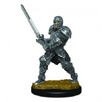 D&D Icons of the Realms Premium Male Human Fighter