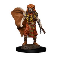 D&D Icons of the Realms Premium Human Druid Male