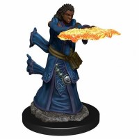 D&D Icons of the Realms Premium Human Wizard Female