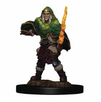 D&D Icons of the Realms Premium Male Elf Fighter