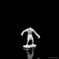 D&D Nolzurs Marvelous Miniatures Raging Troll