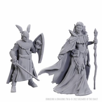 D&D Nolzurs Marvelous Miniatures Limited Edition 50th Anniversary Elves
