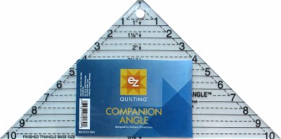 Companion Angle Rule E8