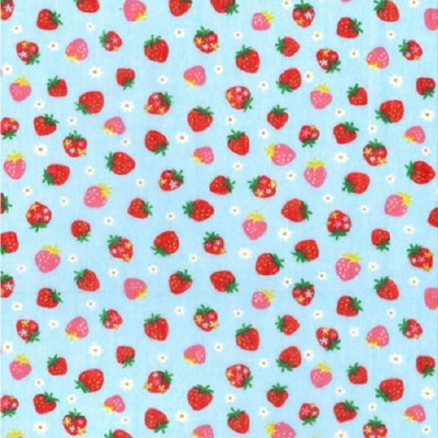Strawberries on Blue background