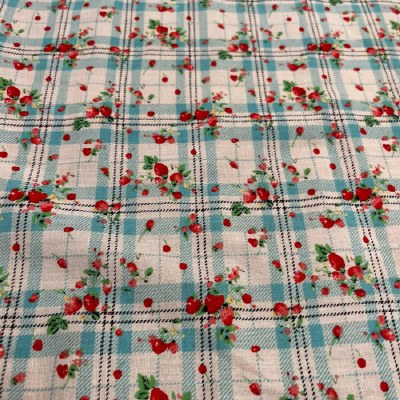 Strawberries on Turquoise