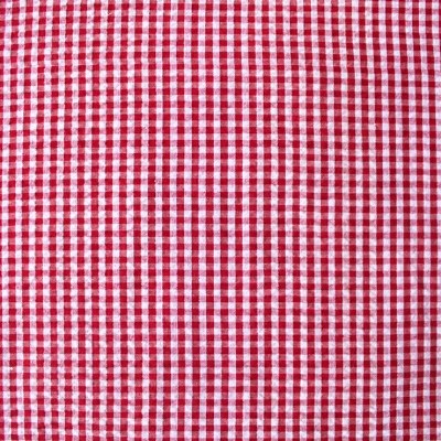 Seersucker Gingham 145cm