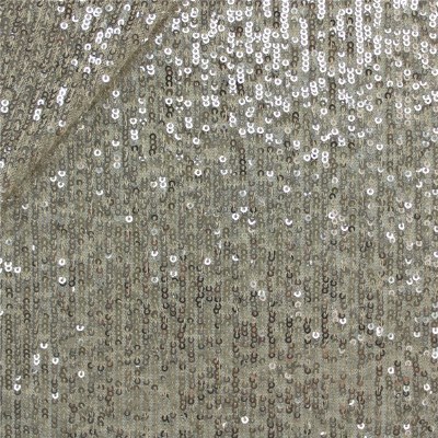 Paillettes Hollywood Silver 150cm