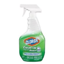 Clorox Clean Up with Bleach