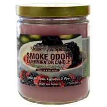 Smoke Odor Mulberry Spice Exterminator Candle Jar