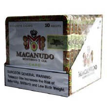 Macanudo Ascots