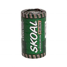 Skoal Pouch Wintergreen