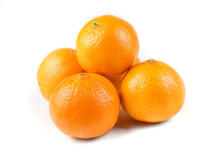 Orange Navel Each
