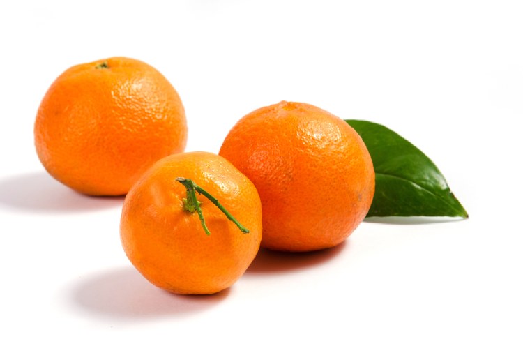Mandarin Daisy 1Kg