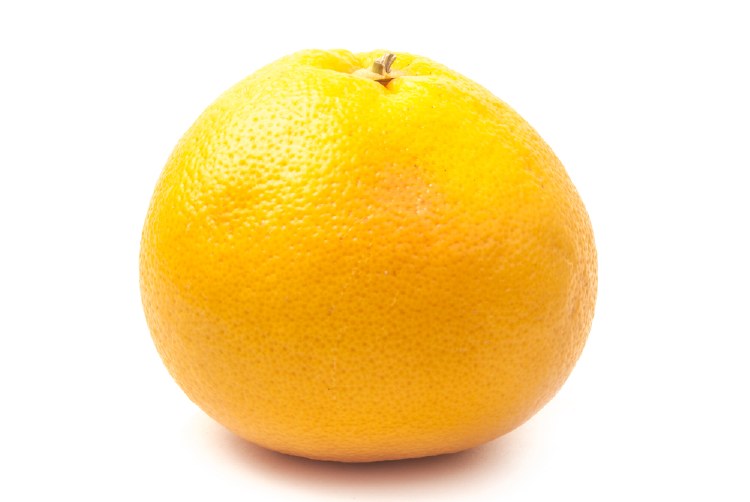Grapefruit Yellow Each