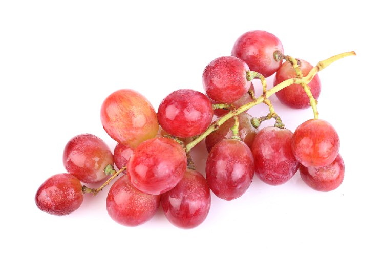 Grape Magenta 500Gm