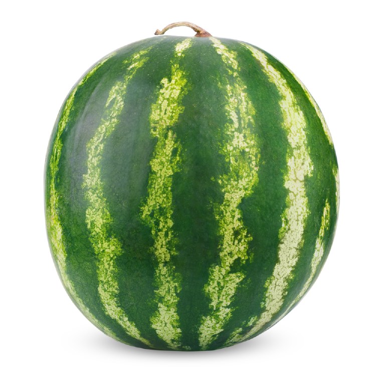 Watermelon Minilee Each