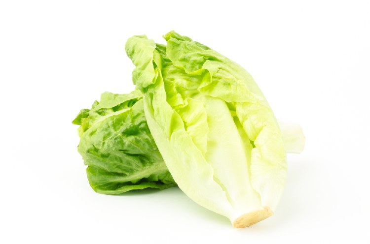 Lettuce Cos Baby Each