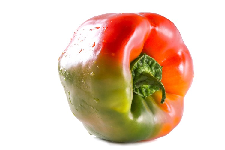 Capsicum Coloured Each