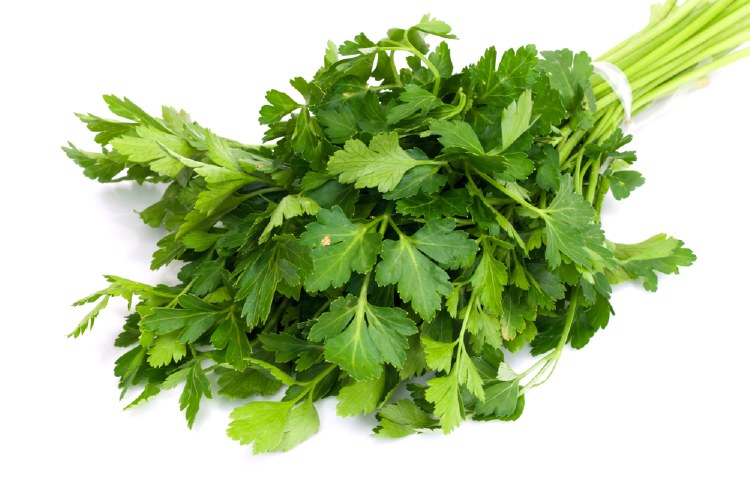 Herb Parsley Flat (Italian)  Bunch
