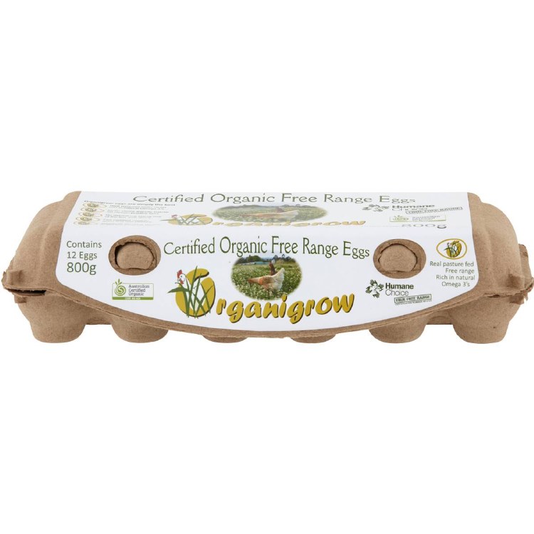 Eggs Jumbo 800G Dozen