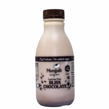 Iced Chocolate Bliss 500Ml