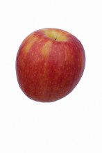 Apple Lady William Each
