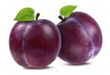 plum early queen each