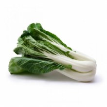 bok choi bunch