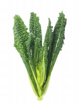 kale cavolo nero bunch