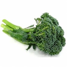 Broccoli Baby Bunch