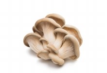 mushroom oyster 150g punnet