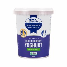 yoghurt blueberry 500g