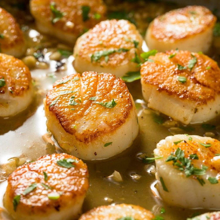 Fresh Dry Sea Scallops- By the Pound - Roberts Seafood Market