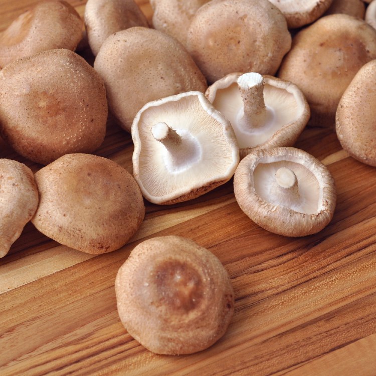 Fresh Shiitake Mushrooms By the Pound Roberts Seafood Market