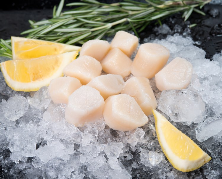 Frozen Dry Sea Scallops By the Pound Roberts Seafood Market