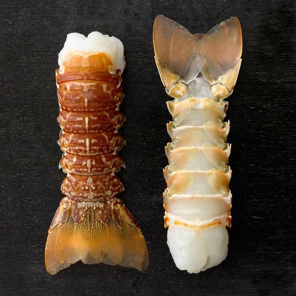 South African Lobster Tail - By the Pound - Roberts Seafood Market