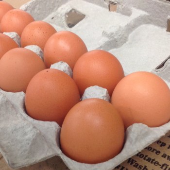 Bland Farms Local Eggs