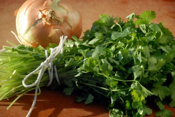 Cilantro & Onion Olive Oil