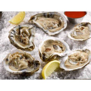 Delaware Bay Oysters - By the Each