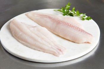 Frozen Catfish Fillets