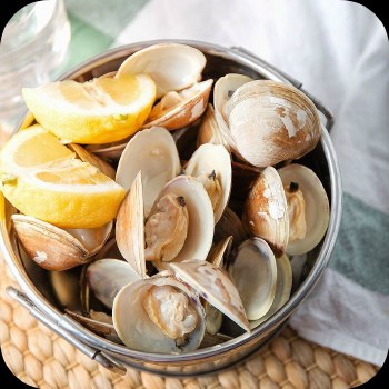 Littleneck Clams - Sold by the Dozen