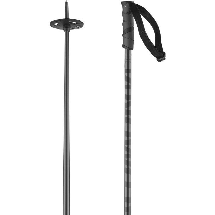 SALOMON HACKER POLE