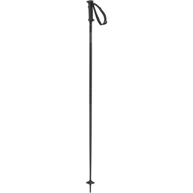 SALOMON POLAR POLE