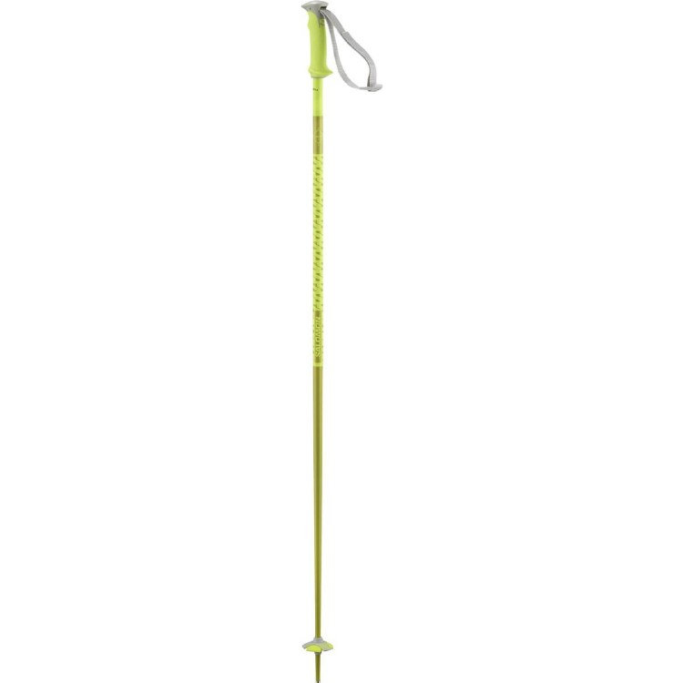 SALOMON POLAR POLE