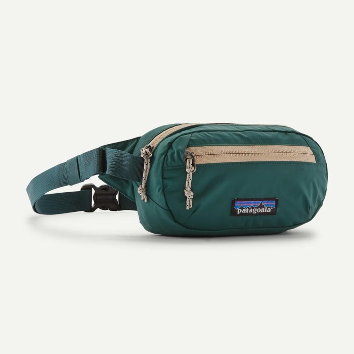 PATAGONIA TERRAVIA MINI HIP PACK