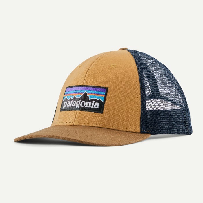 PATAGONIA P-6 LOGO LOPRO TRUCKER HAT
