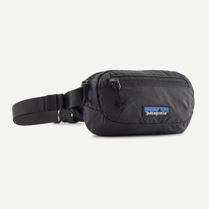 PATAGONIA TERRAVIA MINI HIP PACK