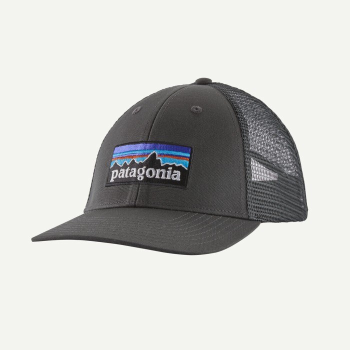 PATAGONIA P-6 LOGO LOPRO TRUCKER HAT